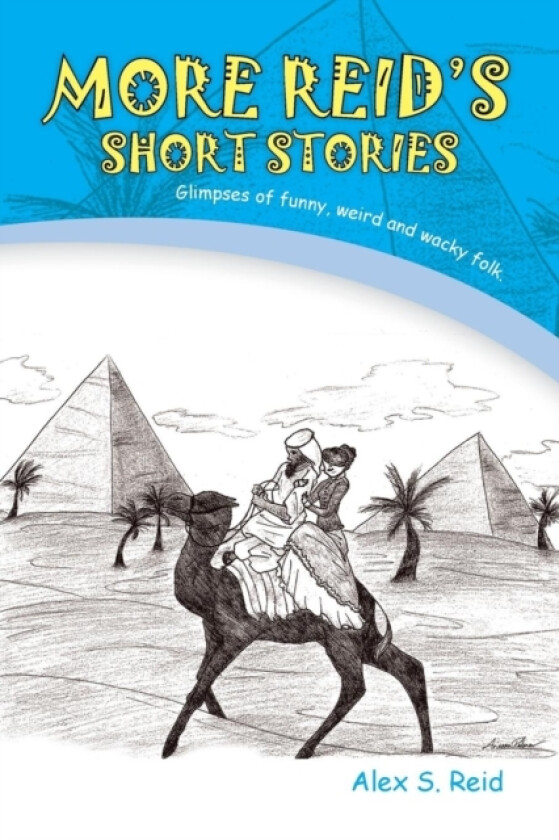 More Reid's Short Stories av Alex S Reid (Paperback)