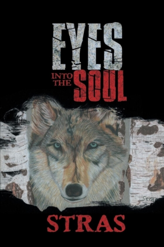 Eyes into the Soul av Stras (Paperback)