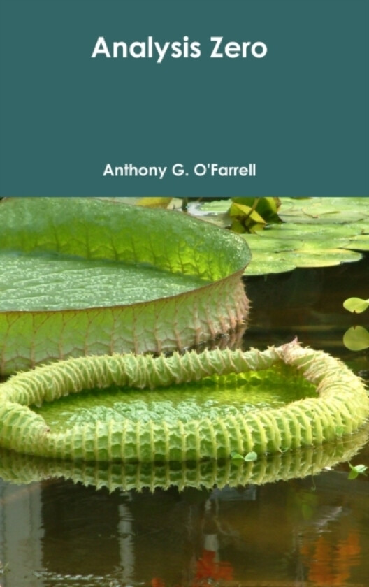 Analysis Zero av Anthony G. O'Farrell (Hardcover)