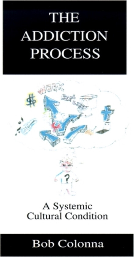 The Addiction Process av Bob Ph.D. D.D. C.A.S. Colonna (Paperback)