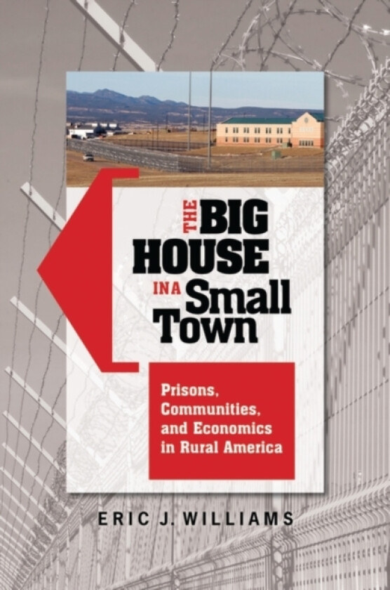The Big House in a Small Town av Eric J. Williams (Hardcover)