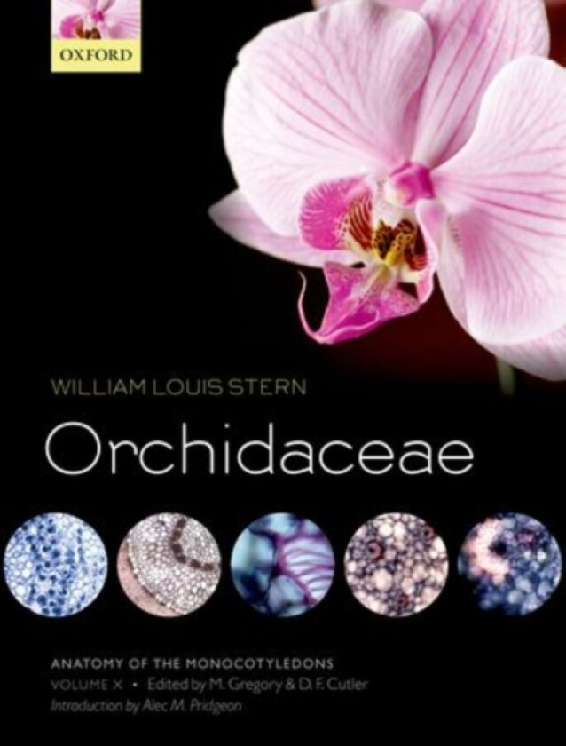 Anatomy of the Monocotyledons Volume X: Orchidaceae av William Louis Stern (Hardcover)