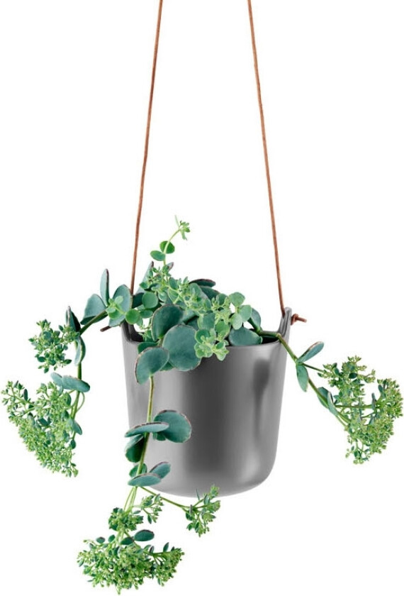 Selvvannende Urtepotte Grå Hengende 15 cm
