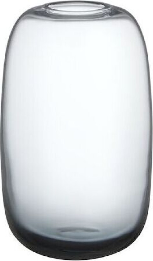 Bilde av Midsummer minivas Oxeye Daisy