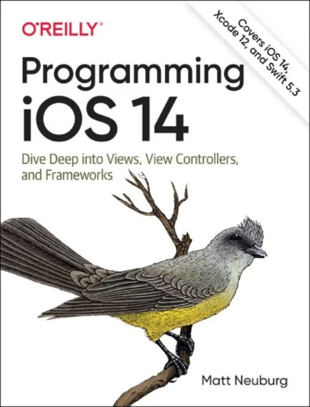 Programming iOS 14 av Matt Neuberg