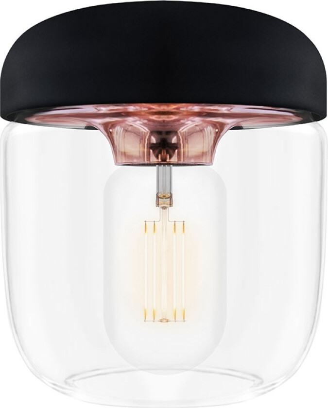 Acorn Lampe svart / polert kobber