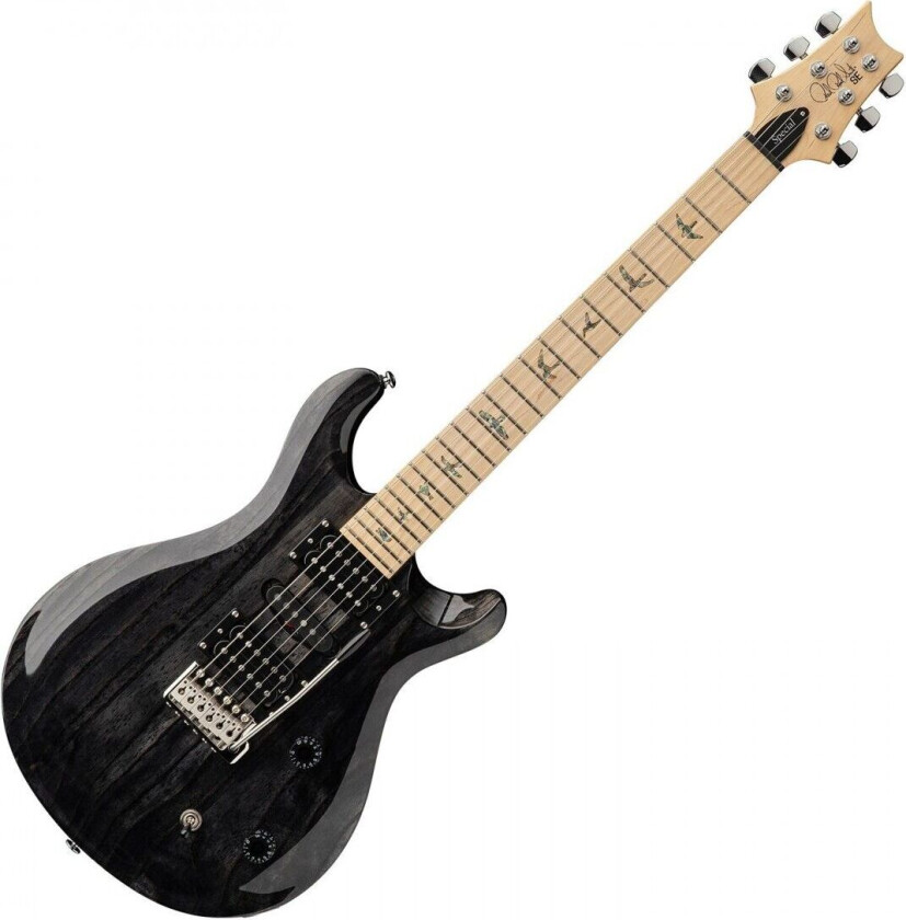 SE Swamp Ash Special CH