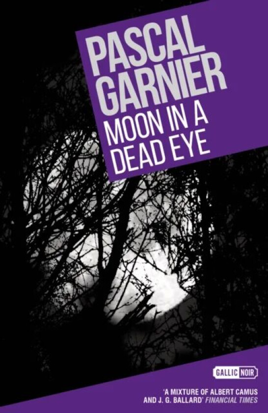 Moon in a Dead Eye av Pascal Garnier