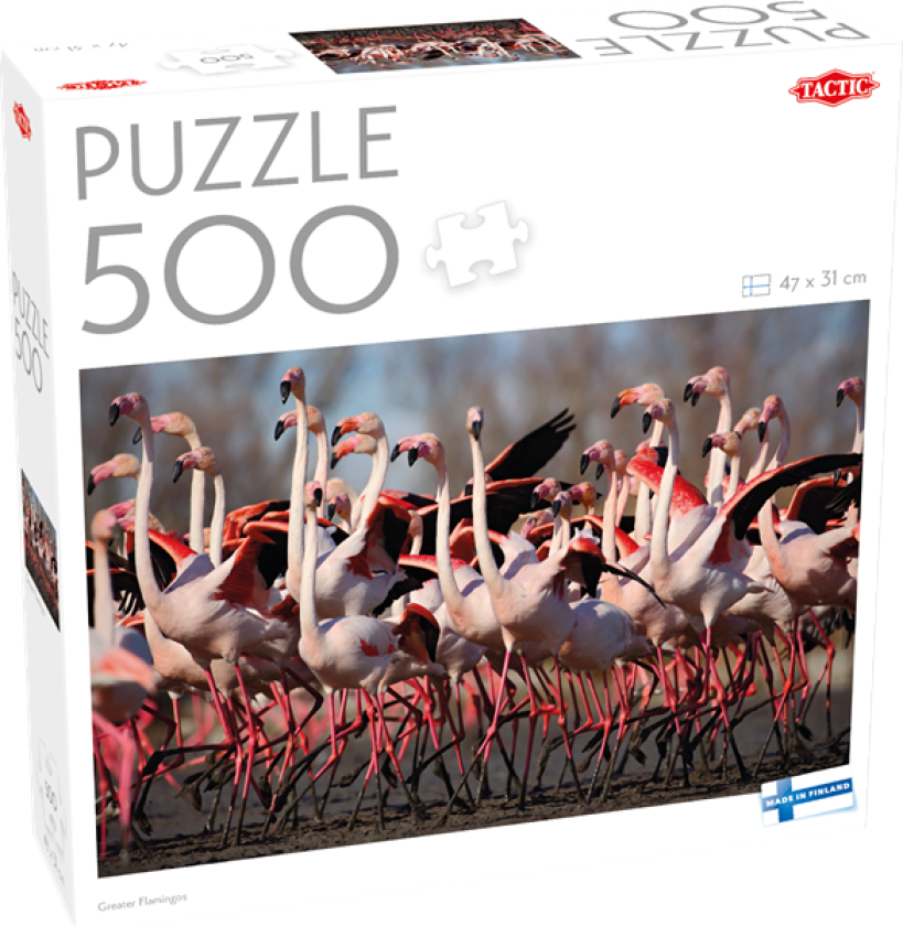 500 pcs puzzle: Greater Flamingos