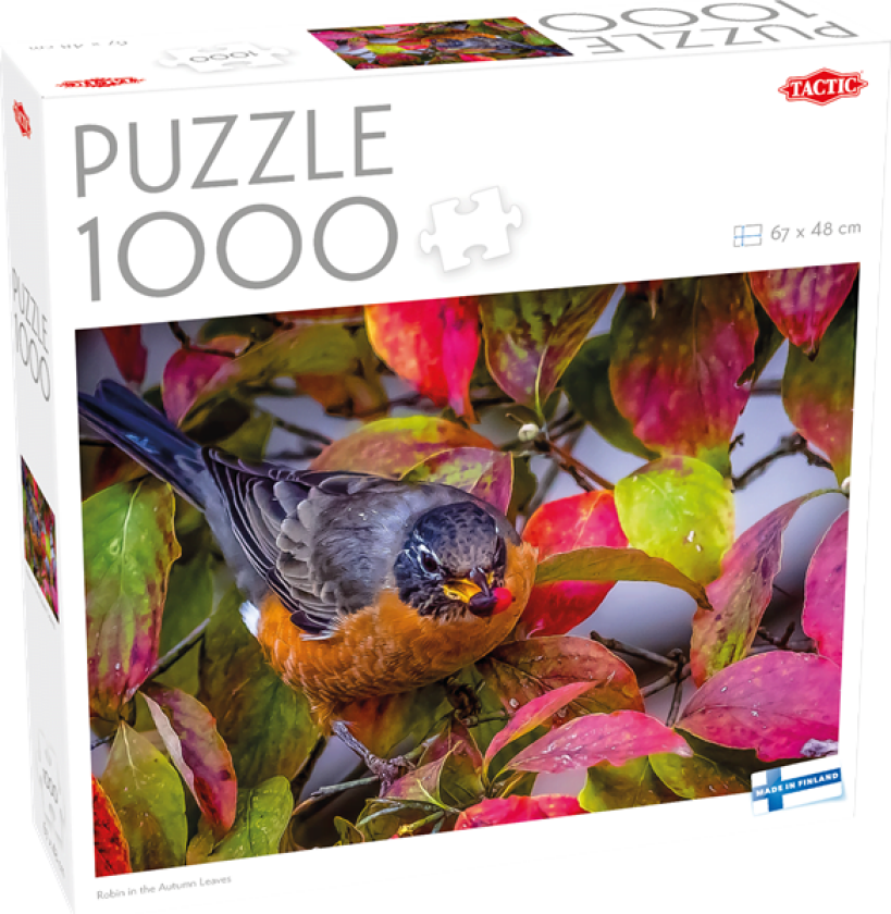 1000 pcs puzzle: Robin in the Autumn Leaves