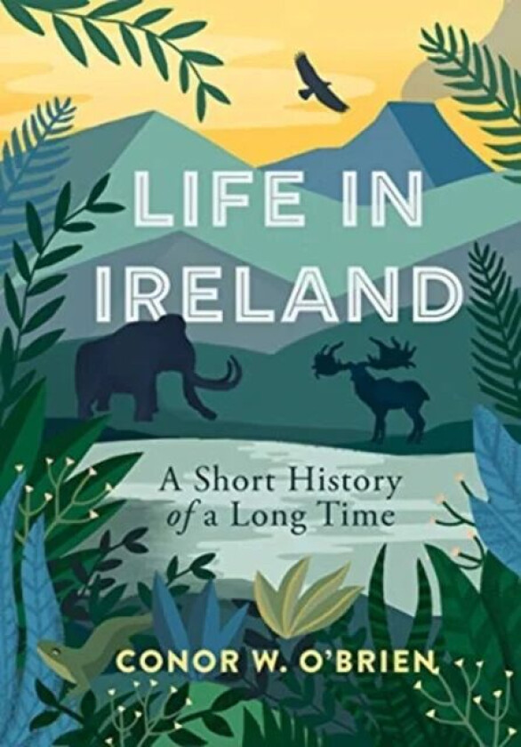 Life in Ireland av Conor O'Brien