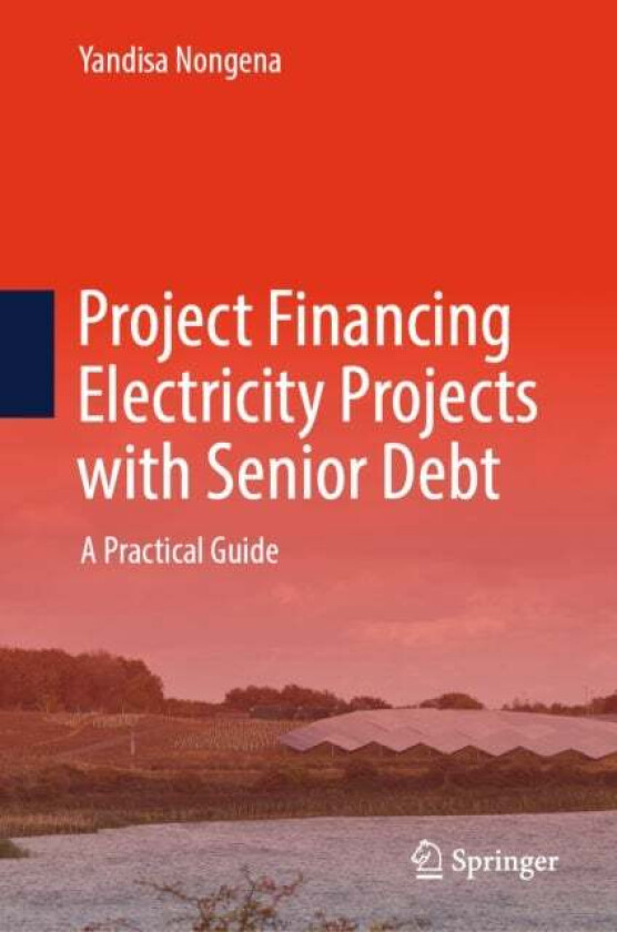 Project Financing Electricity Projects with Senior Debt av Yandisa Nongena