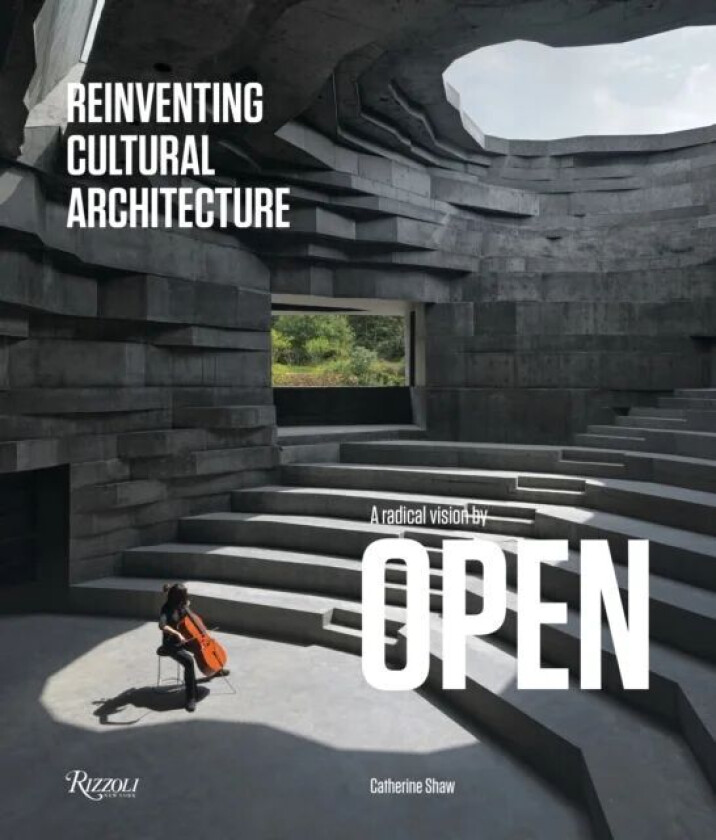 Reinventing Cultural Architecture av Catherine Shaw, Aric Chen