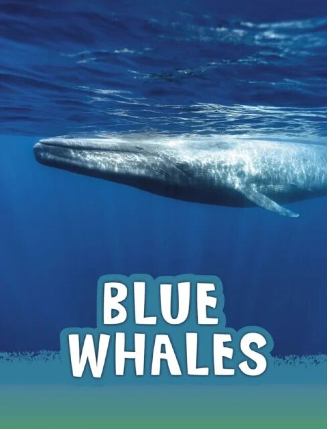 Blue Whales av Mari Schuh