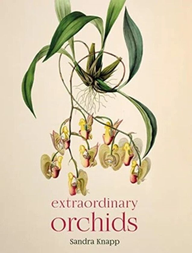 Extraordinary Orchids av Sandra Knapp