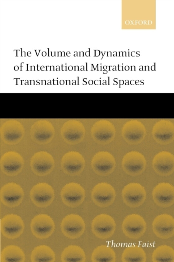 The Volume and Dynamics of International Migration and Transnational Social Spaces (Paperback)