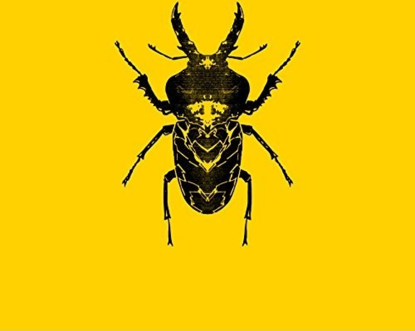 Golden Features Sect CD