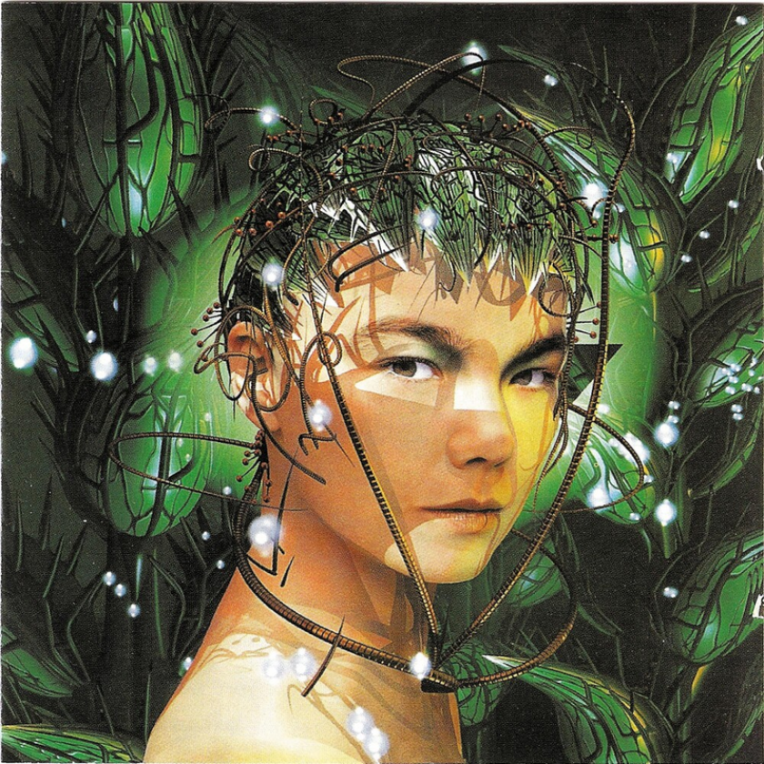 Björk Bachelorette CD