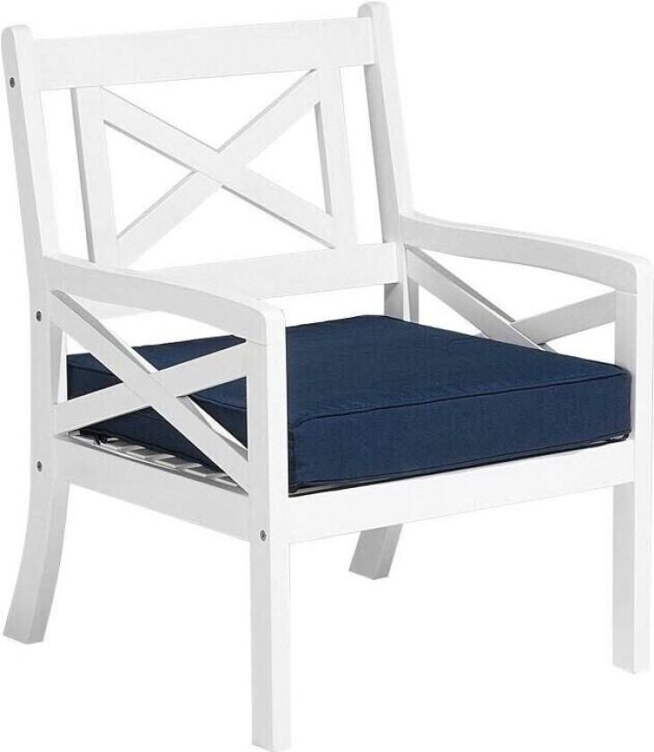 Hagestol Hvit Akasietre med Blå Setepute Coastal