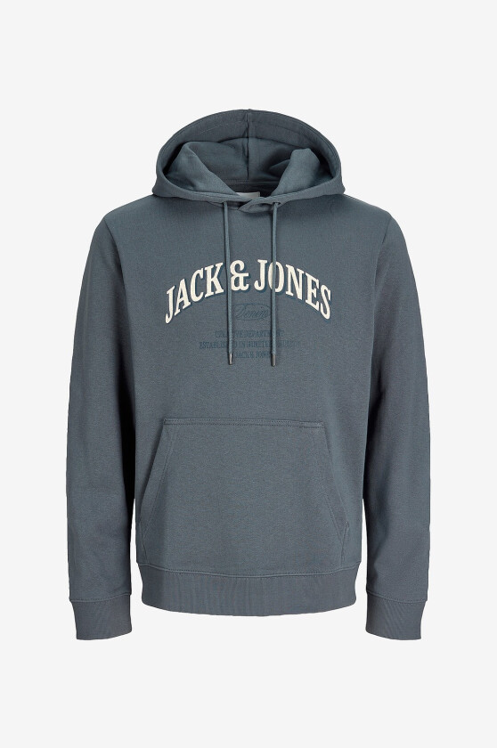 Hettegenser Jjedenver Logo Sweat Hood Sn - Grå