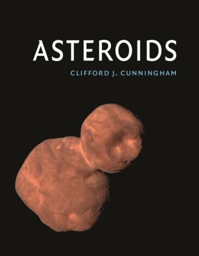 Asteroids av Clifford J. Cunningham