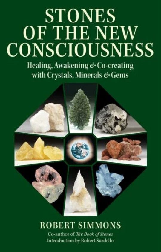 Stones of the New Consciousness av Robert Simmons