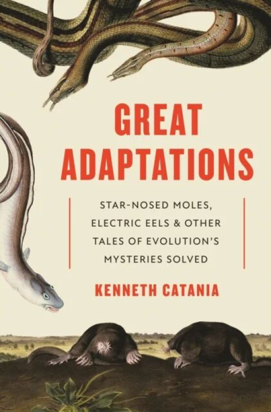 Great Adaptations av Kenneth Catania