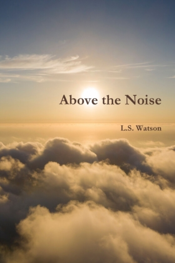 Above the Noise av L.S. Watson (Paperback)