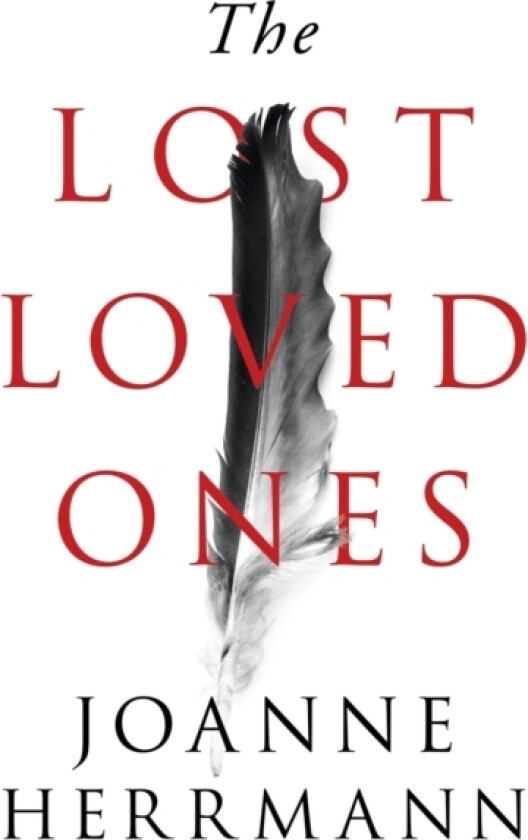 The Lost Loved Ones av Joanne Herrmann (Paperback)
