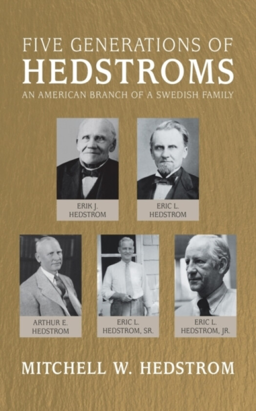 Five Generations of Hedstroms av Mitchell W Hedstrom (Paperback)