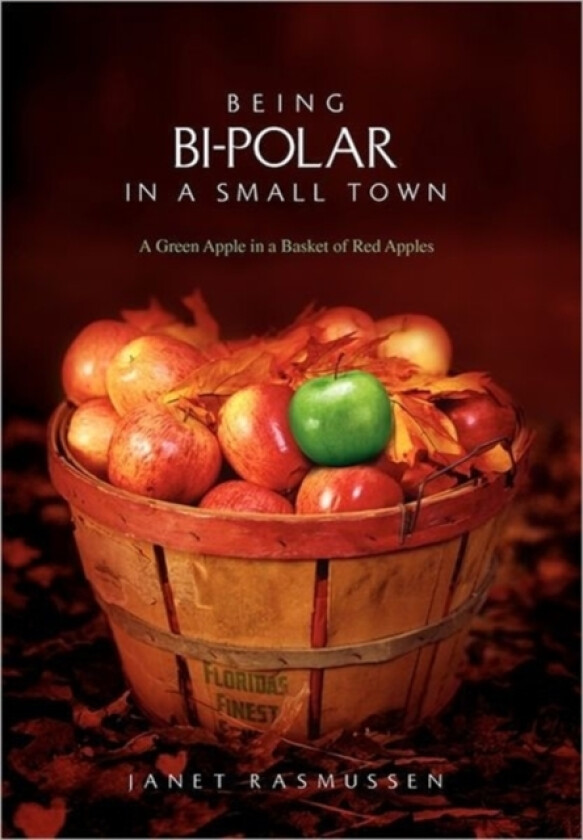 Being Bi-Polar in a Small Town av Janet Rasmussen (Hardcover)