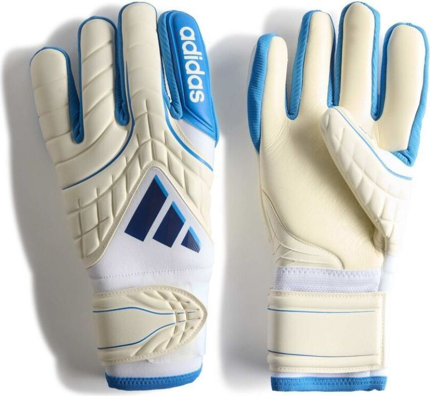 Keeperhansker Copa Pro PC Fingersave Chaos vs Control - Hvit/Lucid Ray Blue/Mørkeblå, størrelse 8