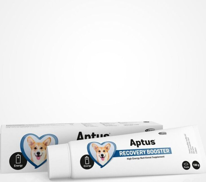 Bilde av Recovery Booster Hund 100 g