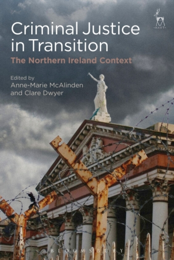 Criminal Justice in Transition av Anne-Marie McAlinden, Dr Clare Dwyer (Paperback)