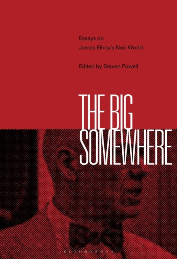The Big Somewhere av Dr Steven Powell (Paperback)