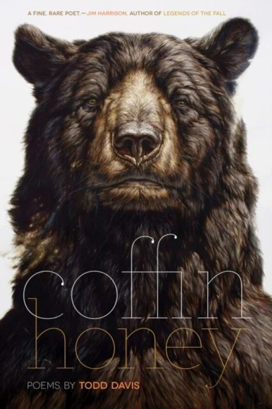 Coffin Honey av Todd Davis