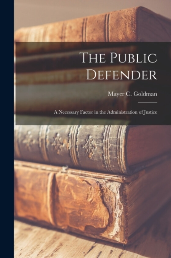 The Public Defender av Mayer C Goldman (Paperback)