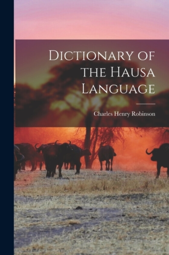 Dictionary of the Hausa Language av Charles Henry Robinson (Paperback)