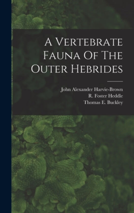 A Vertebrate Fauna Of The Outer Hebrides av John Alexander Harvie-Brown (Hardcover)