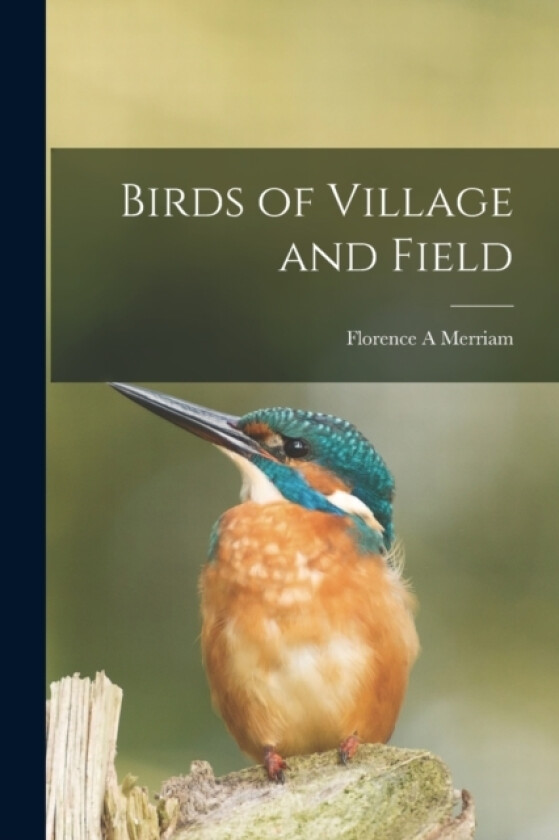 Birds of Village and Field av Florence A Merriam (Paperback)
