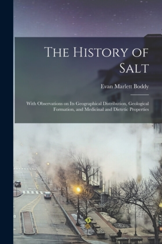 The History of Salt av Evan Marlett Boddy (Paperback)