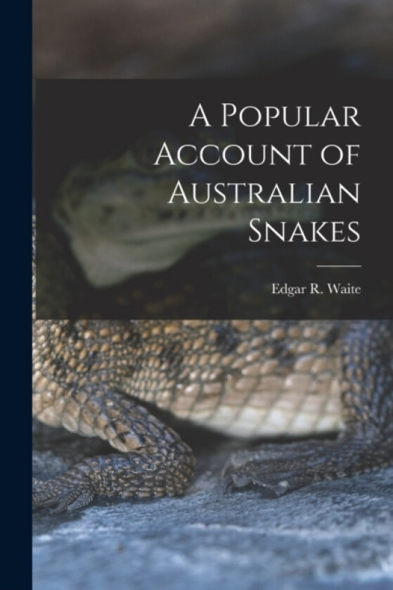 A Popular Account of Australian Snakes av Edgar R Waite (Paperback)