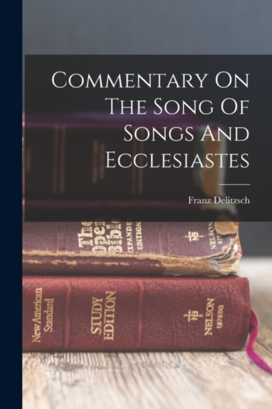 Commentary On The Song Of Songs And Ecclesiastes av Franz Delitzsch (Paperback)