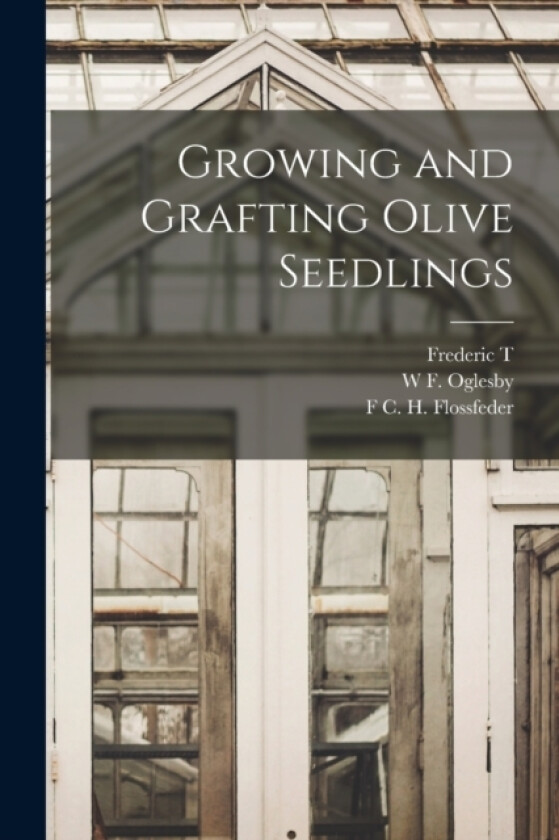 Growing and Grafting Olive Seedlings av Frederic T 1865-1939 Bioletti, W F Oglesby, F C H Flossfeder (Paperback)