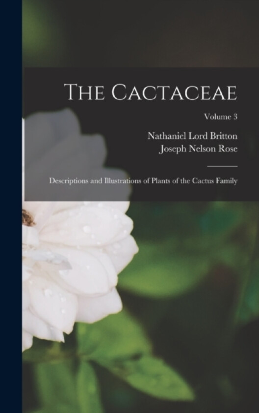 The Cactaceae av Nathaniel Lord Britton, Joseph Nelson Rose (Hardcover)