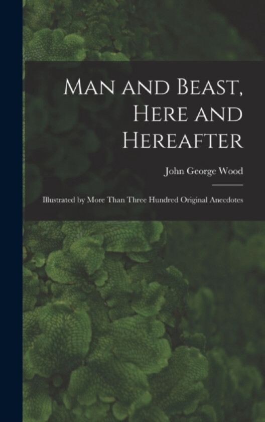 Man and Beast, Here and Hereafter av John George Wood (Hardcover)