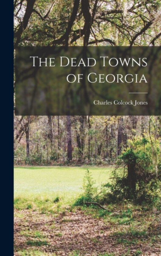 The Dead Towns of Georgia av Jones Charles Colcock (Hardcover)