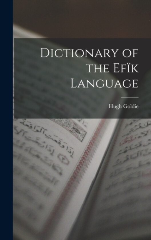 Dictionary of the Efik Language av Hugh Goldie (Hardcover)