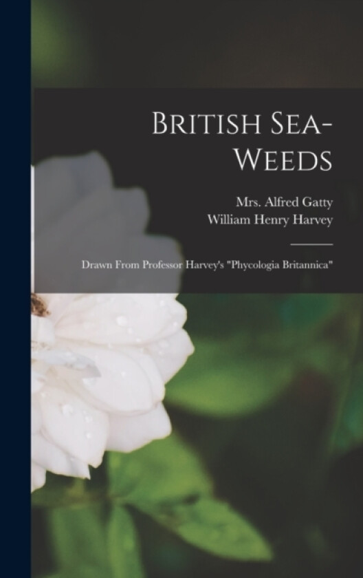British Sea-weeds av Mrs Alfred Gatty (Hardcover)