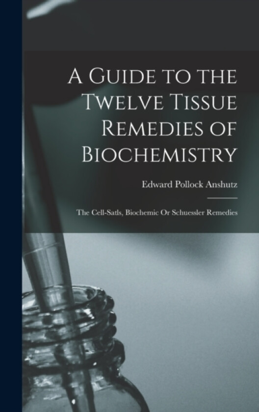 A Guide to the Twelve Tissue Remedies of Biochemistry av Edward Pollock Anshutz (Hardcover)